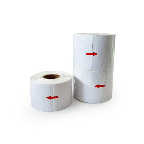 Eco-Friendly Options for Sustainable Packaging