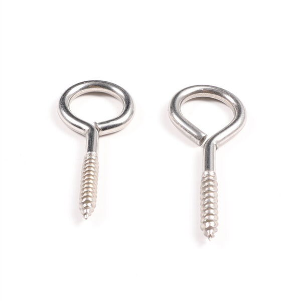 Safety of Eye Lag Screws