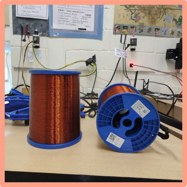 Te Mahi Pai Ake e Tiakina ana