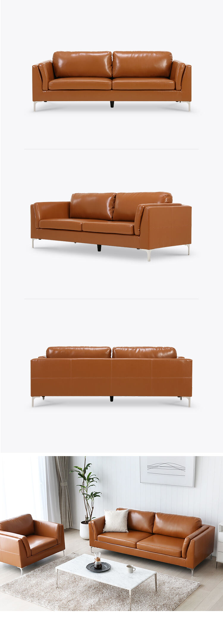 ds-007-3p-camel_01