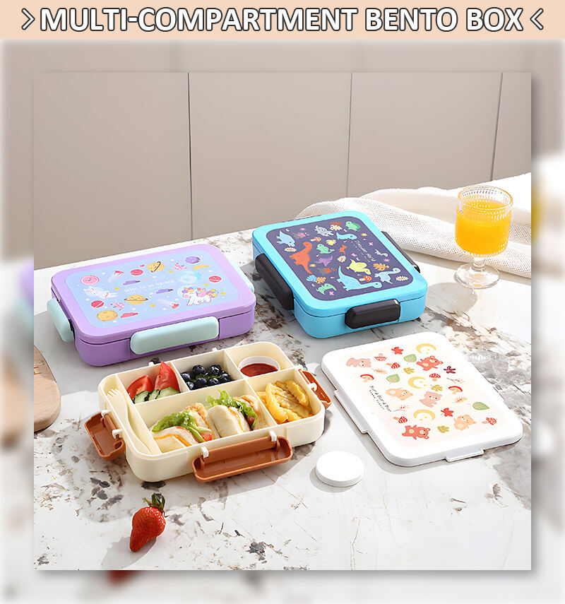 Hot Sale Rectangular PP Lunch Bento Box Plastic Bento Container for Serving Fruit and Food details
