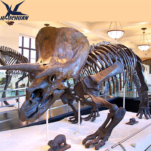 Impresyonin ang iyong mga kustomer gamit ang realistikong display ng balangkas ng Triceratops