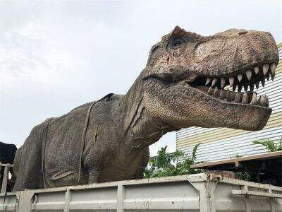 Formas de aumentar el tráfico peatonal con una instalación comercial de dinosaurios montables