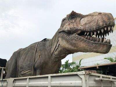 İctimai İstifadə Üçün Minilə Bilən Dinozavrlarda Təhlükəsizlik və Davamlılığın Əhəmiyyəti