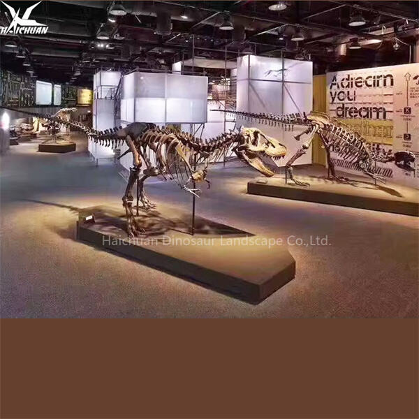 Dalubhasang Ginawang T-Rex Skeletons na may Kompetensiyang Presyo