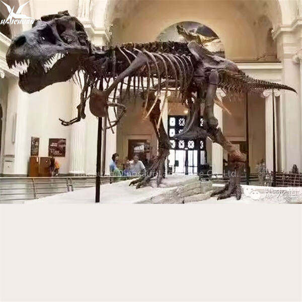 Isang Mahalagang Idagdag sa Iyong Koleksyon ng Fossil