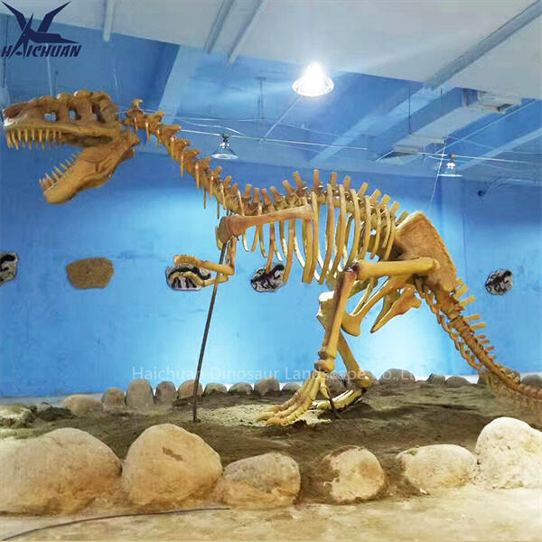 Ուսումնասիրեք T ռեքսի կմախքի տարբեր մոդելներ՝ ձեր հավաքածուի համար