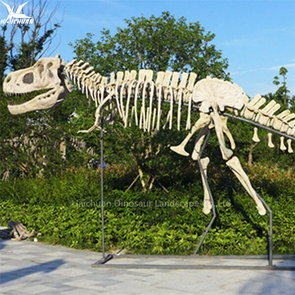 Գտեք ձեր բիզնեսի կարիքներին համապատասխանող T ռեքսի կմախքը