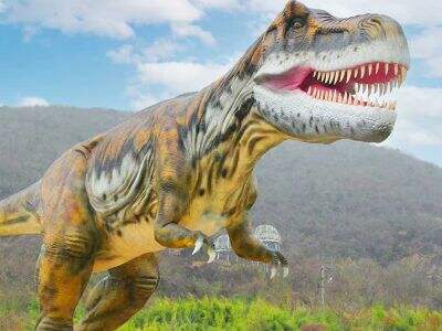 Açıq hava dinozavrları üçün havaya davamlılığın əhəmiyyəti