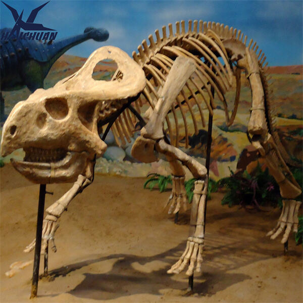 Galugarin ang pinakamahusay na alok sa mga bulk order ng mga replica ng malaking bungo ng dinosaur