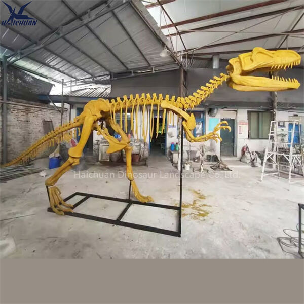 Perpekto para sa mga Museo, Institusyong Edukasyonal, at mga Kolektor