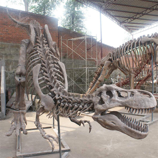 Malaking Seleksyon ng mga Dinosaurong Skeleton sa Mapagkumpitensyang Presyo