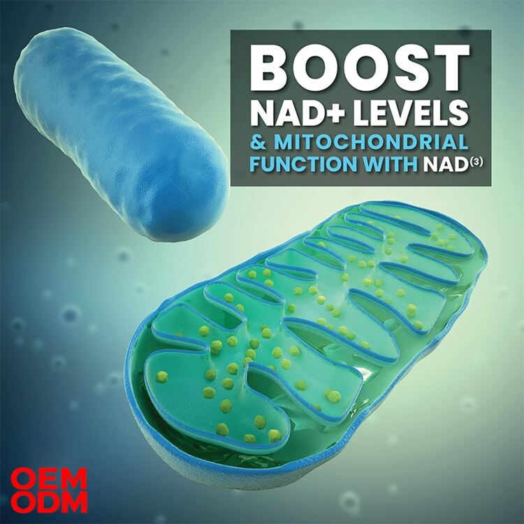 Veggie Capsules NAD+ Booster manufacture