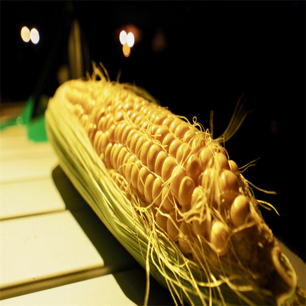 Bezahlbare Großhandelsoptionen für Großbestellungen