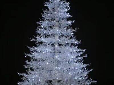 Eco-Friendly Outdoor Artificial Christmas Trees in Bulk