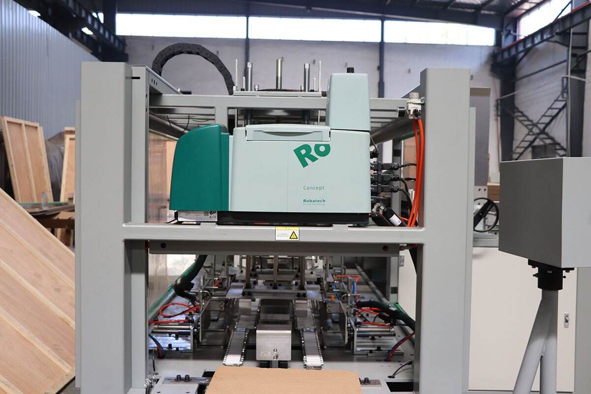 Carton Packaging Machine