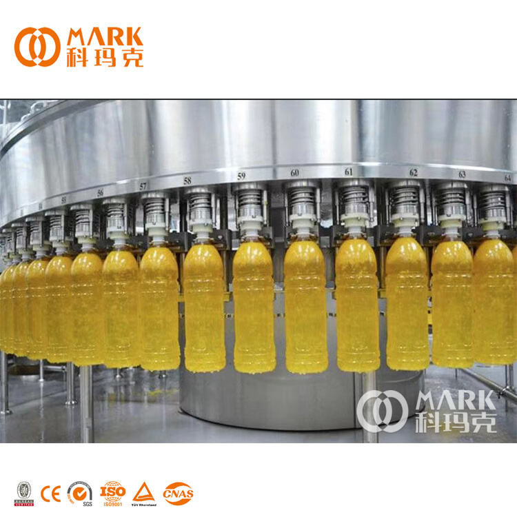 Small and medium blueberry juice beverage production line equipment