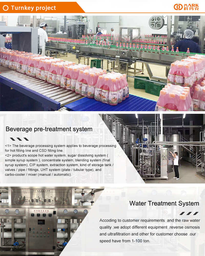 juice production 2.jpg