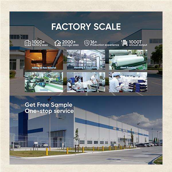 Hot Search for Plastic-Free Laundry Sheets