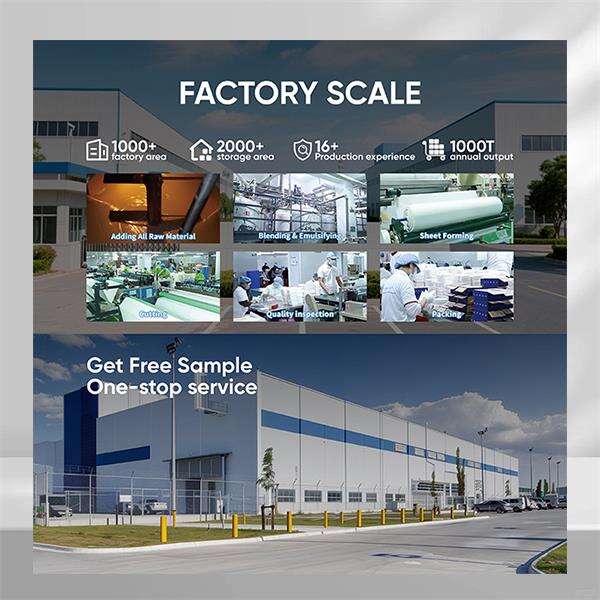 Trending searches for wholesale eco-friendly laundry products