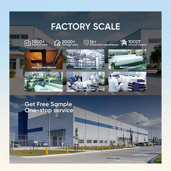 How dissolvable detergent sheets are revolutionizing the laundry industry