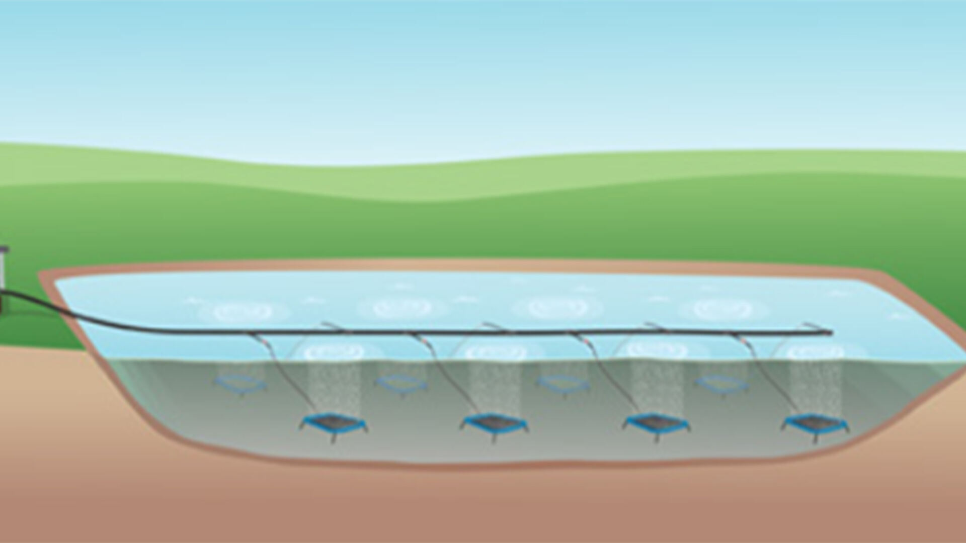 Application of Ring Blower in aquaculture (Fish pond aeration)