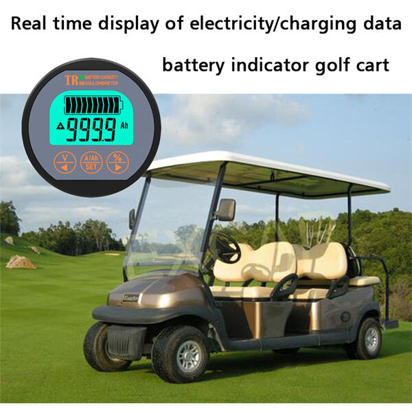 Quality and Service of a Battery Indicator Golf Cart