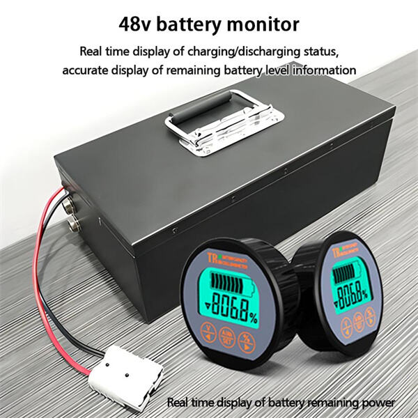 Service and Quality of a 48V Battery Monitor