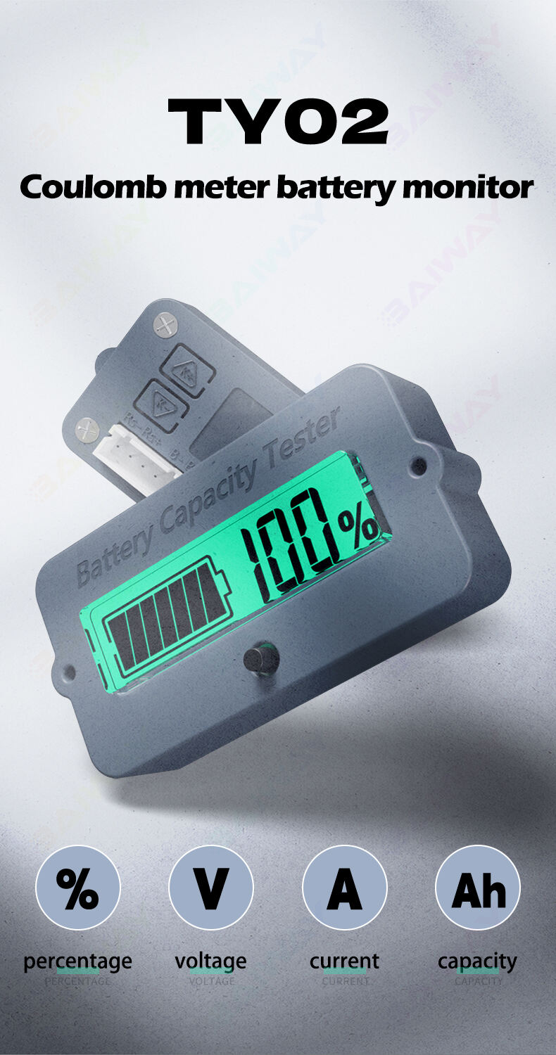 Digitized Battery Monitor details