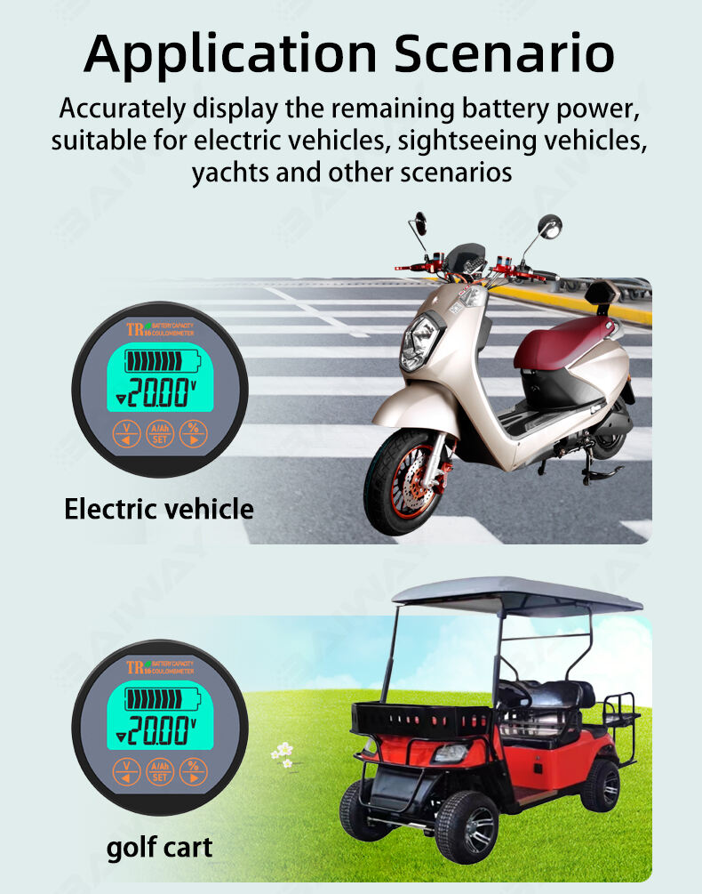 TR16 LCD Battery Indicator Tester for Electric vehicle factory