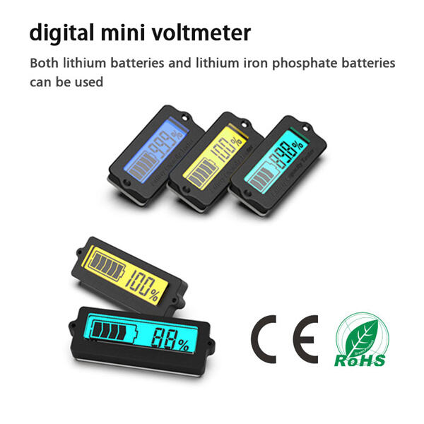 Innovation in Digital Mini Voltmeter