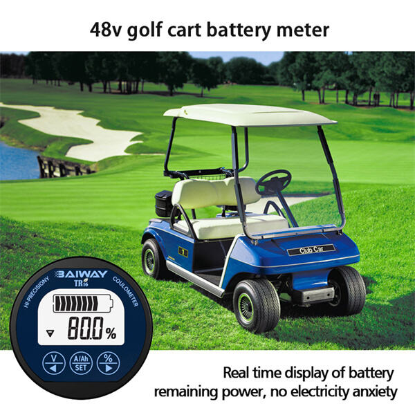 Use of 48v Golf Cart Battery Meter: