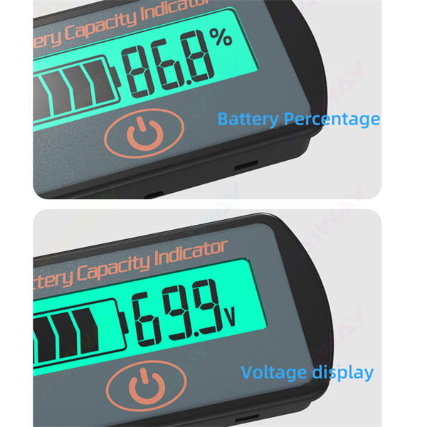 Security of 12v Battery Meters