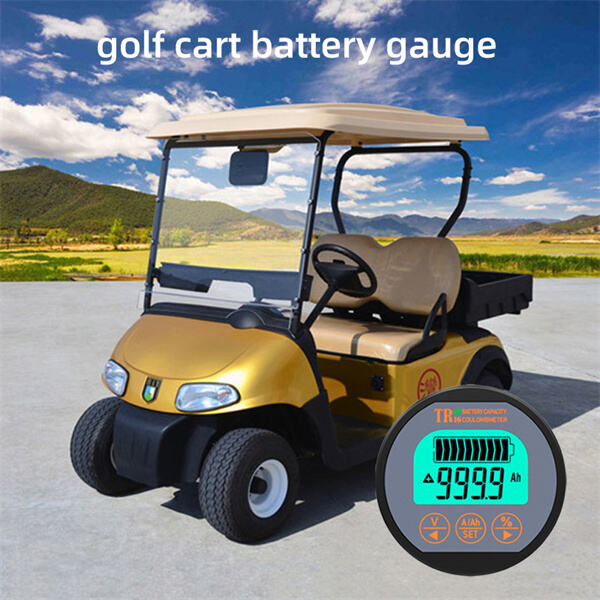 Utilizing a Golf Cart Battery Gauge