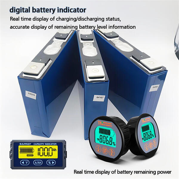 Provider and Quality of Digital Battery Indicators: