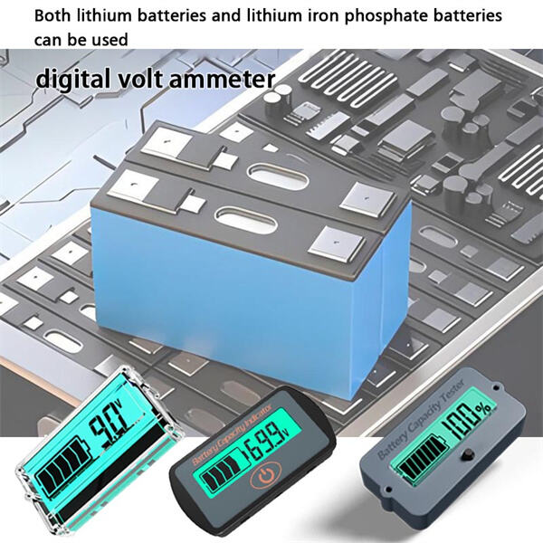 Service and Quality of Digital Volt Ammeters