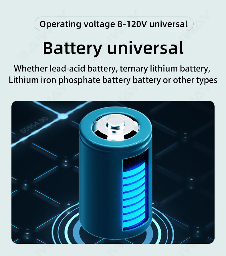 TR16 Universal LCD Car Battery Level Capacity Indicator factory