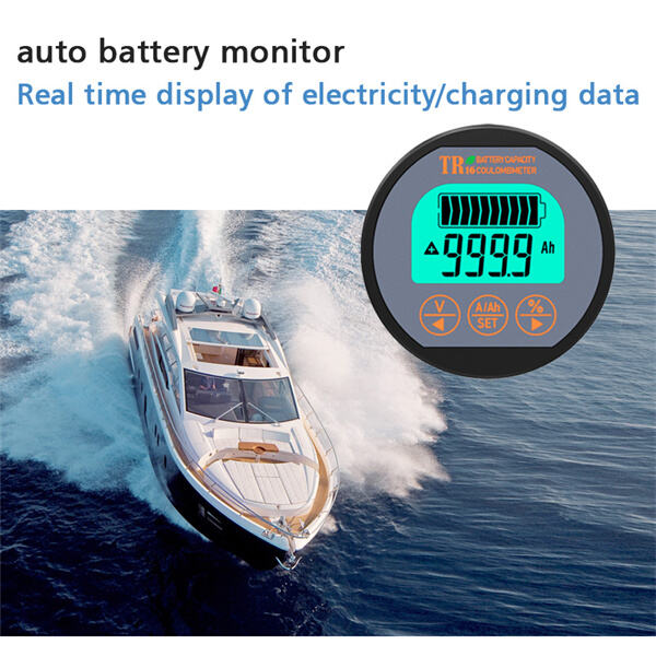 Use of Auto Battery Monitors