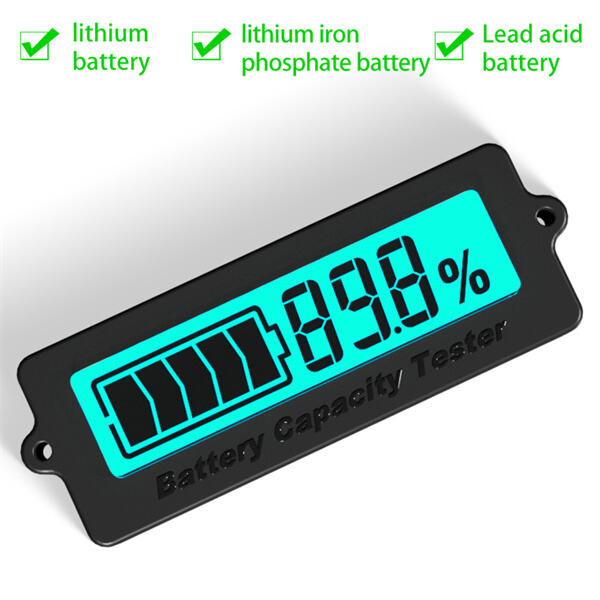 Security for the Battery Voltage Meter