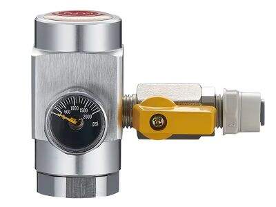 Bulk Beer Gas Regulator Supply for OEM Draft System Builders