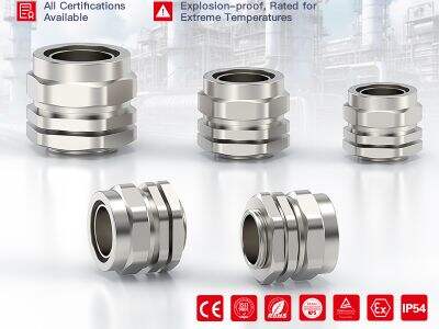 Cable Gland Sealing Compound vs. O-Rings: Which Sealing Solution Is Better?