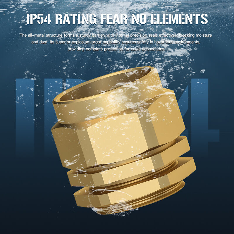 What Are the Top Features to Look for in Wholesale Brass Compression Glands?