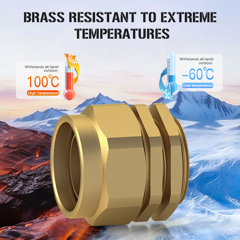 What Common Usage Issues Should You Be Aware of with Brass Compression Glands?