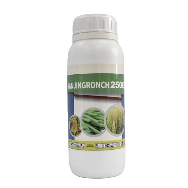 A Reliable Solution for Fungal Diseases