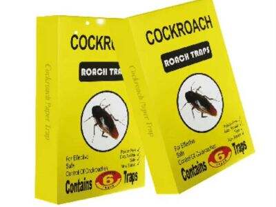 What Makes Modern Cockroach Bait More Effective Than Sprays