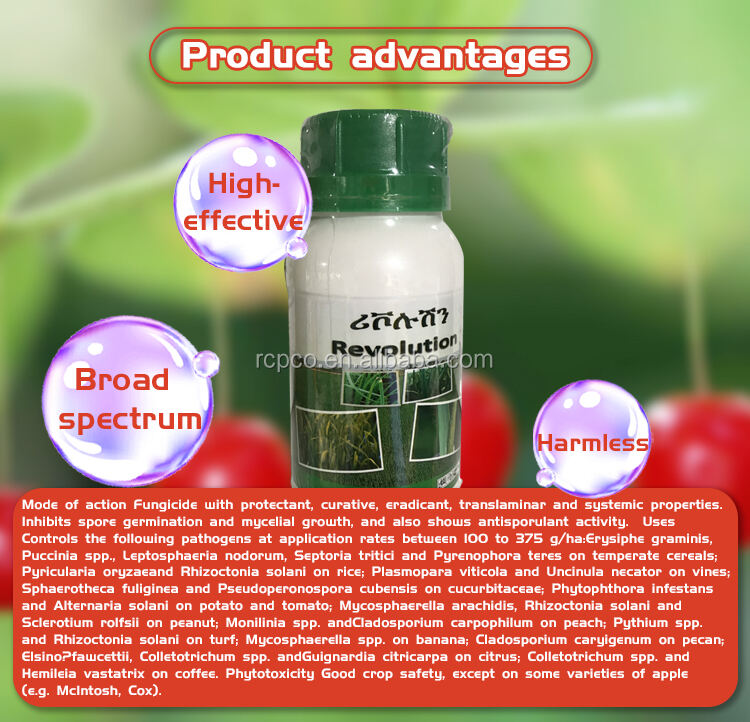 Hot sale fungicide 150g/L difenoconazole+150g/L pyraclostrobin SC supplier