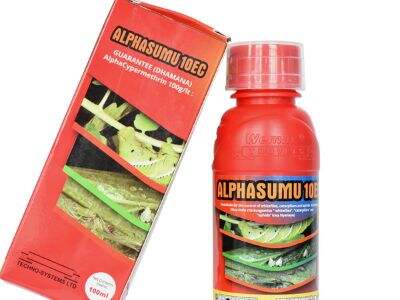 How Cypermethrin Controls Insects Through Neural Disruption