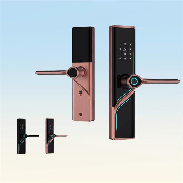 Enhance your property's security with high-quality fingerprint door lock systems