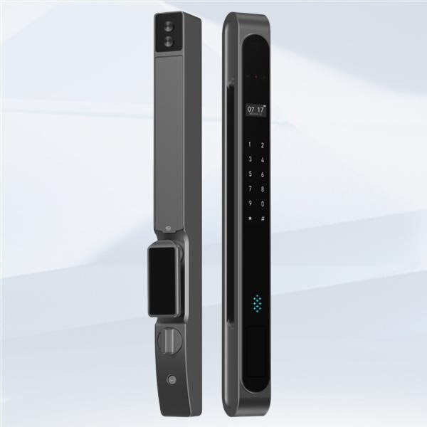 Safeguard Your Property with Advanced Biometric Technology
