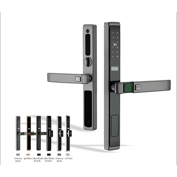 Rinnova il tuo spazio con un moderno e sofisticato Fingerprint Door Lock per uso interno ed esterno